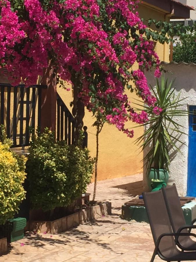 Cosy Guesthouse-Souterrain With Garden In City Center Corinth Ngoại thất bức ảnh