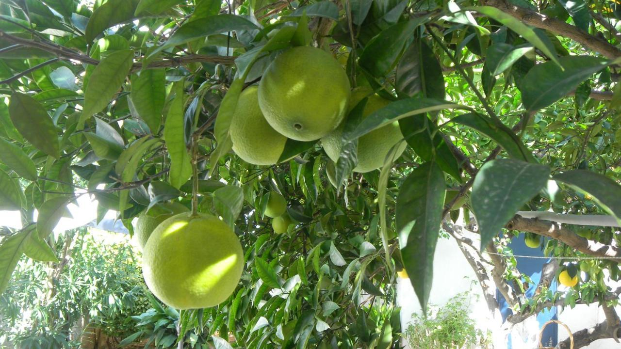 Cosy Guesthouse-Souterrain With Garden In City Center Corinth Ngoại thất bức ảnh